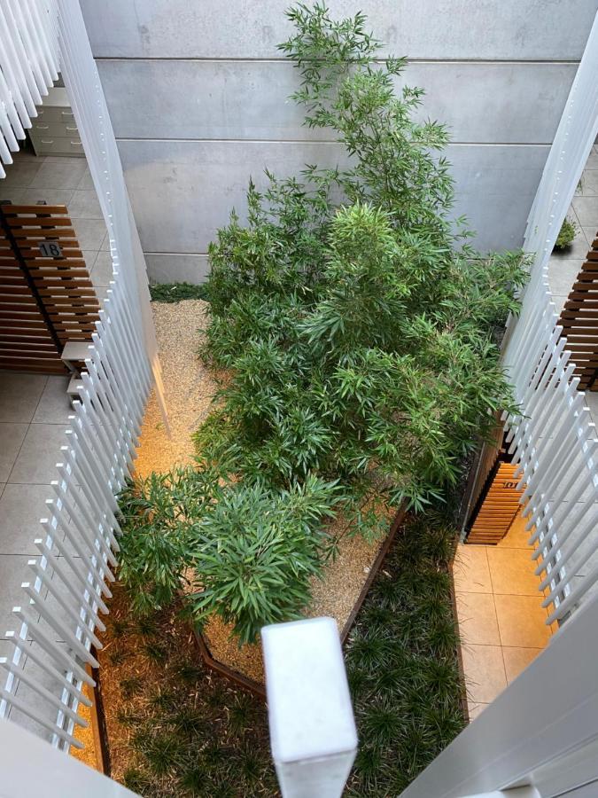 The Gallery Luxe 1 Bedroom Executive Apartment In The Heart Of Braddon Wine Secure Parking Wifi Canberra Eksteriør bilde